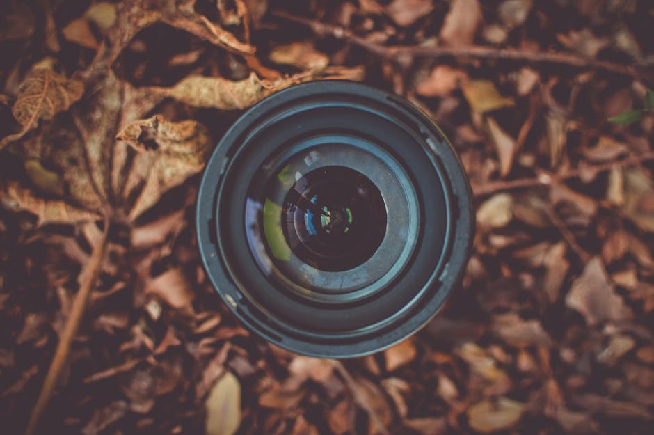 Close-up of a camera lens placed among autumn leaves, highlighting photography concepts.